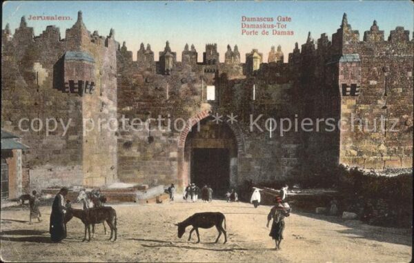 Jerusalem Yerushalayim Damaskustor Esel