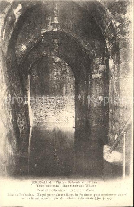 Jerusalem Yerushalayim Piscine Bethesda Teich Ruine