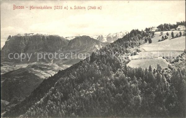 Bozen Suedtirol Panorama mit Herrenkohlern und Schlern