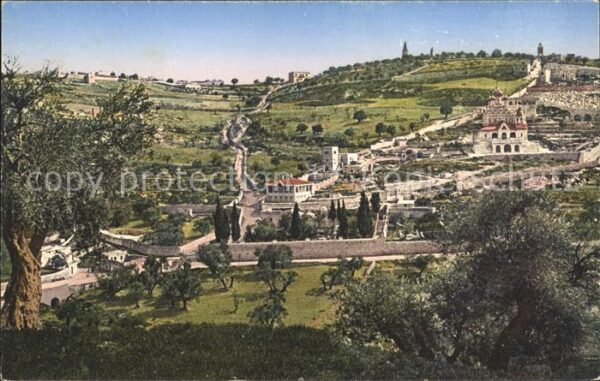 Jerusalem Yerushalayim Ölberg und Gethsemane Mont des Oliviers