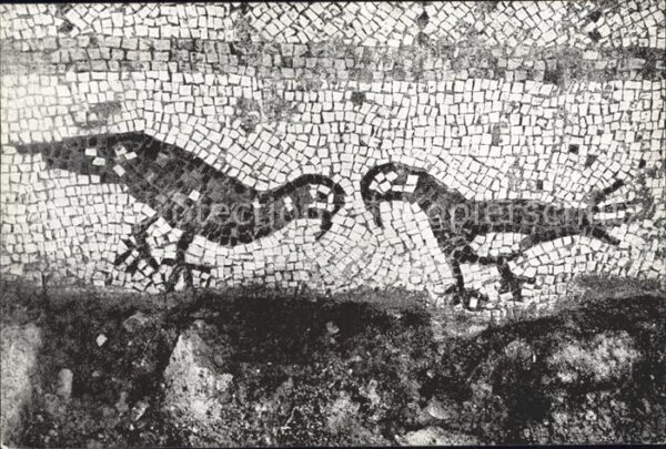 Evron Israel Detail of Mosaic Pavement in 5th Centur