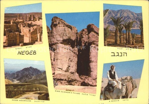 Israel Negeb Mountains Wüste Oase Kamel