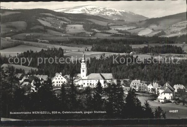 Wenigzell Panorama Blick gegen Stuhleck Sommerfri