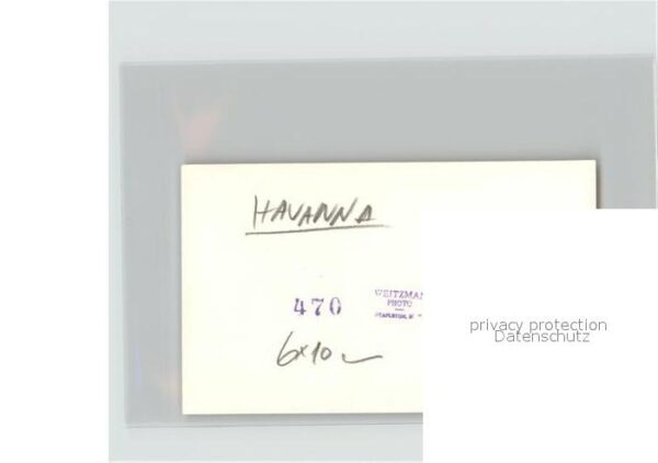 Havanna Flamingos – Bild 2
