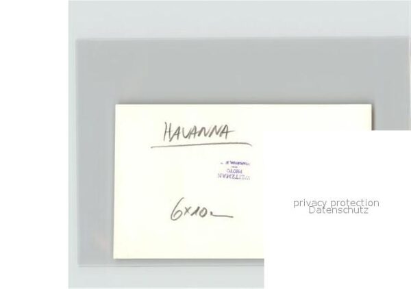 Havanna Flamingos – Bild 2