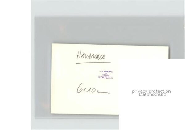 Havanna Kokospalme – Bild 2
