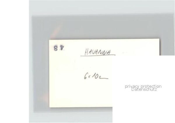Havanna Kokospalmen – Bild 2