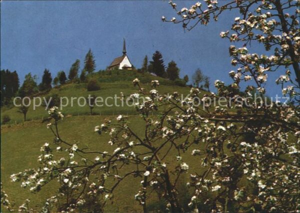 Mambach Zell Wallfahrtskapelle Maria Frieden
