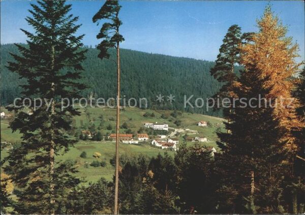 Bad Wildbad Nonnenmiss Enzklösterle