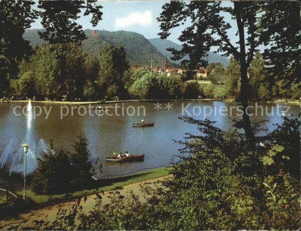 Waldkirch Breisgau Stadtrainsee