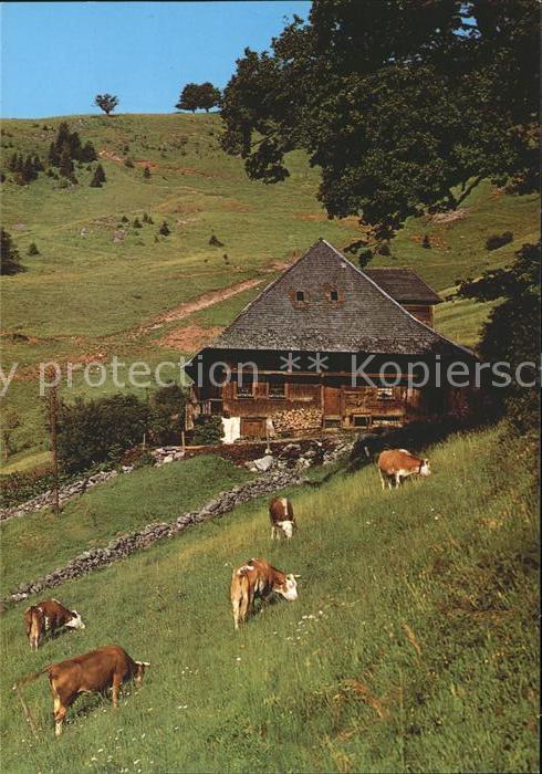 Hofsgrund Bauernhaus-Museum Schniederlihof