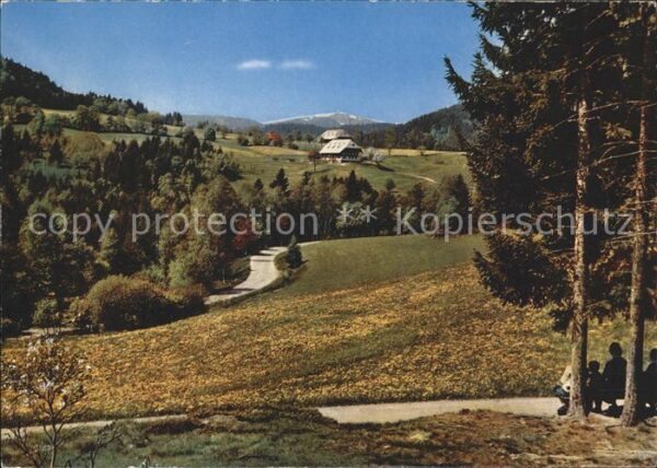 Hinterzarten Feldbergblick
