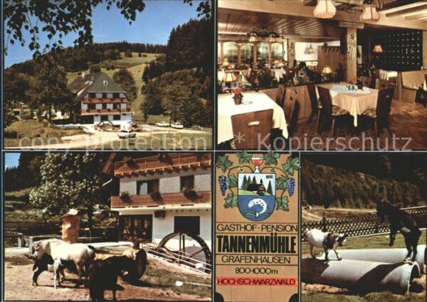 Grafenhausen Schwarzwald Gasthaus-Pension Tannenmühle