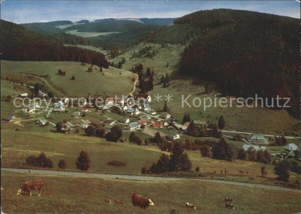 Muggenbrunn