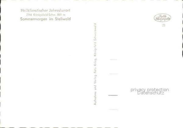 Koenigsfeld Schwarzwald Stellwald – Bild 2