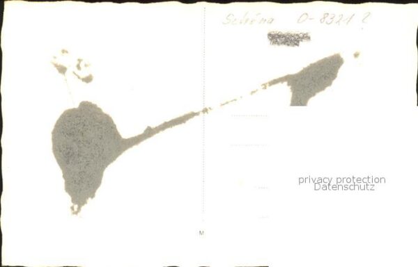 Schoena Elbe Kaiserkrone – Bild 2