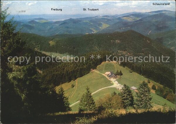 Untermuenstertal Kälblescheuer Freiburg St. Trudpert Sch