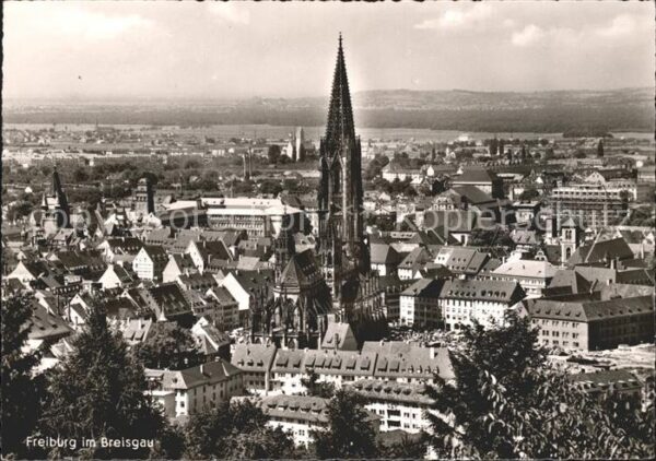 Freiburg Breisgau Teilansicht Münster