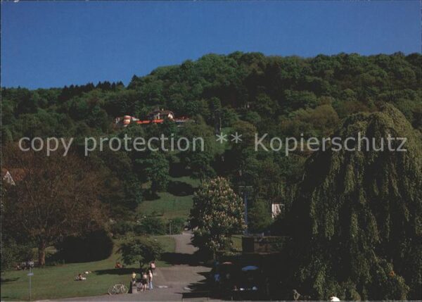 Freiburg Breisgau Stadtgarten