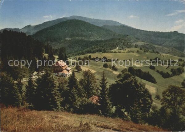 Neuenweg Gasthof Pension Haldenhof
