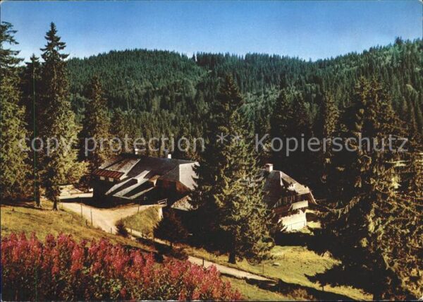 Feldberg Schwarzwald Menzenschwander Hütte