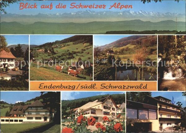 Endenburg Blick Schweizer Alpen Kühe Teich