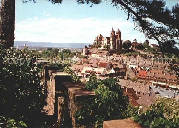 Breisach Rhein Blick Eckartsberg