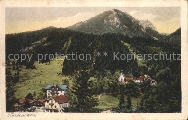 Birkenstein