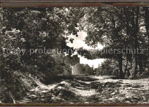 Oberlauchringen Ruine Küssaburg Waldweg