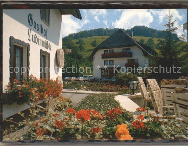 Freiamt Gasthof-Hotel Ludinmühle
