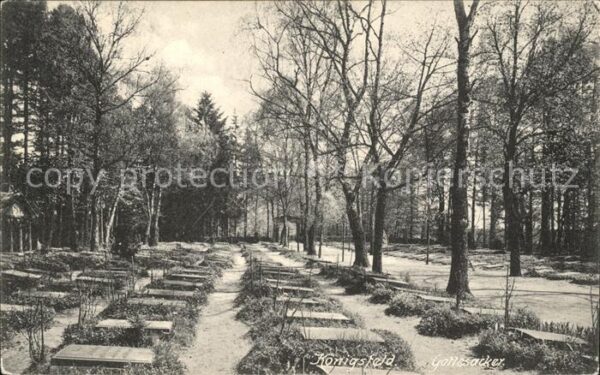 Koenigsfeld Schwarzwald Gottesacker