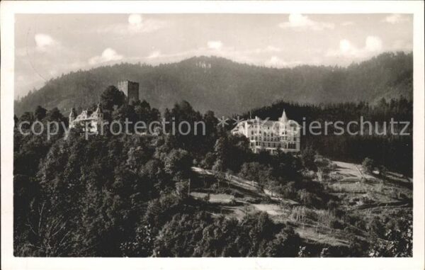 Hornberg Schwarzwald Gauschule Burg
