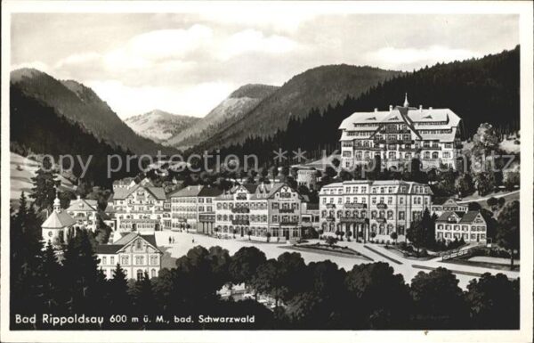 Bad Rippoldsau Schwarzwald Ortsansicht