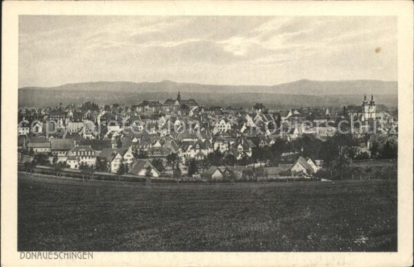 Donaueschingen Totalansicht