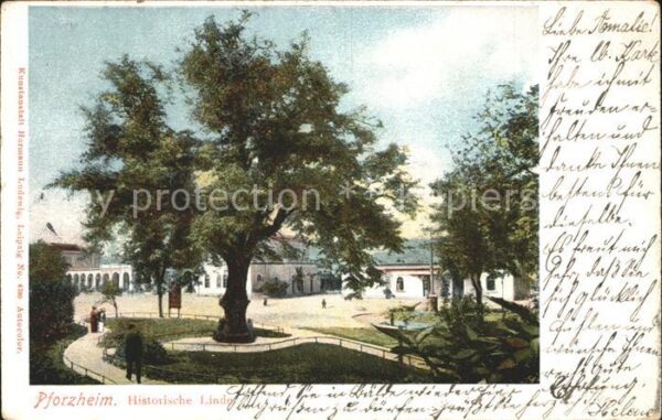 Pforzheim Historische Linde