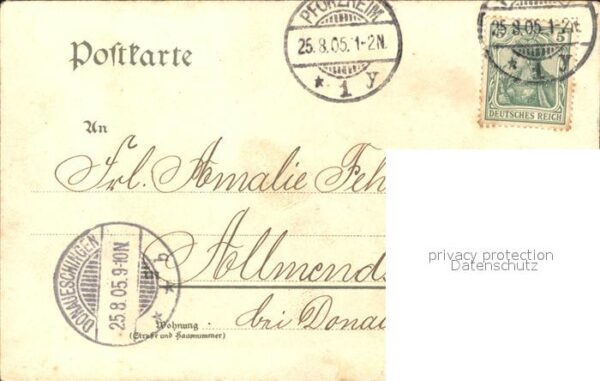 Pforzheim Historische Linde – Bild 2