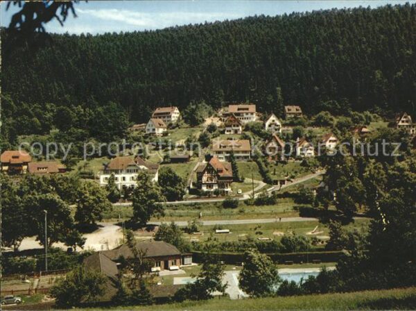 Bad Teinach-Zavelstein Teilansicht mit Schwimmbad