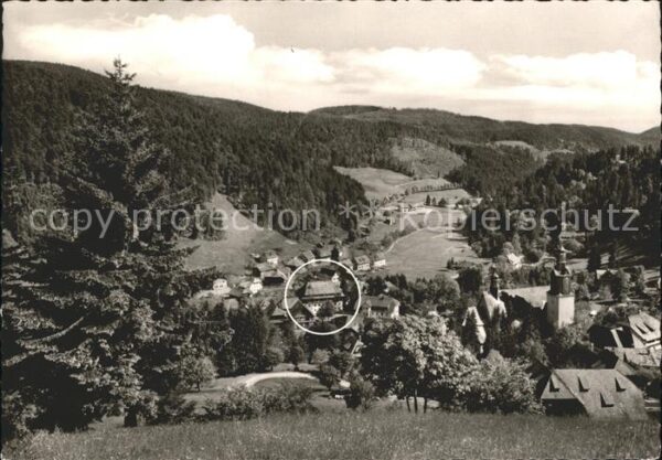 Todtmoos Panorama