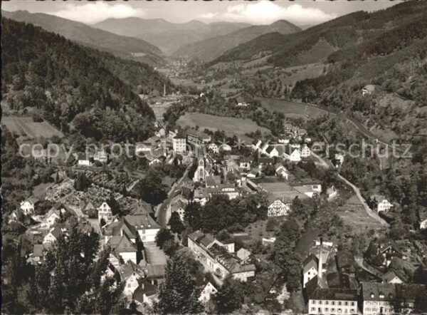Gutach Schwarzwald Blick vom Schloss ins Gutachtal
