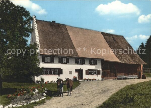 Bad Duerrheim Hänslehof Pferde