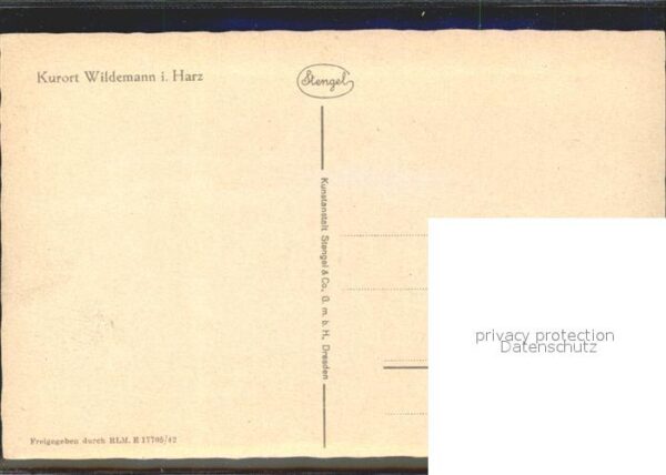 Wildemann Fliegeraufnahme – Bild 2