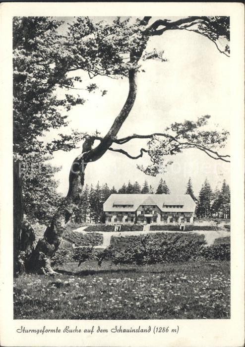 Schauinsland Berghotel Burggraf mit Sturmgeformter B