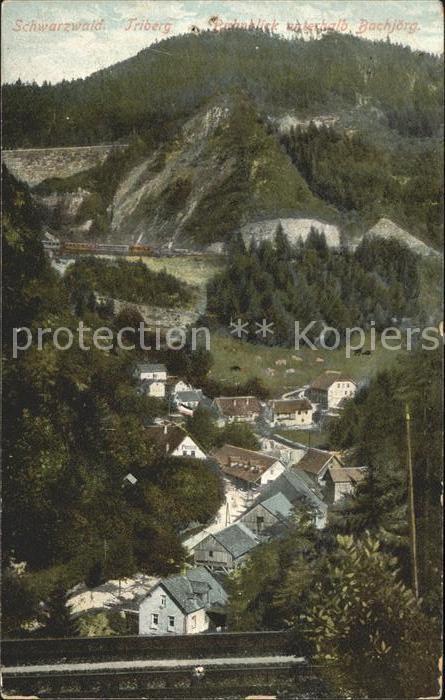 Triberg Schwarzwald Bachjörg