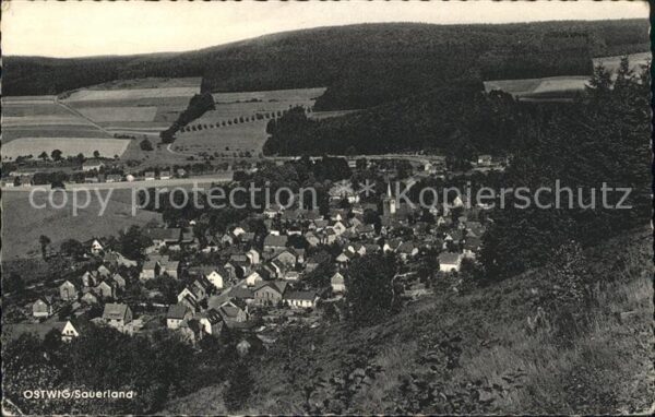 Ostwig