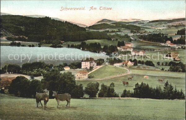 Titisee