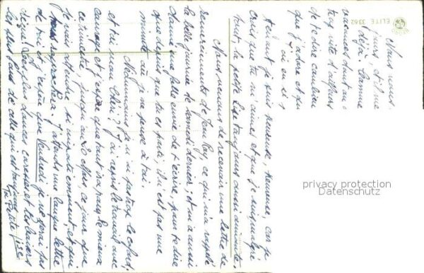 Rosen – Bild 2