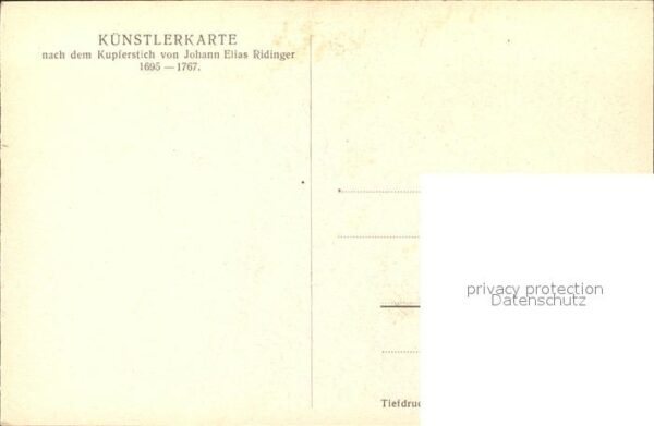 Jagd Flugschütze Künstlerkarte Johann Elias – Bild 2