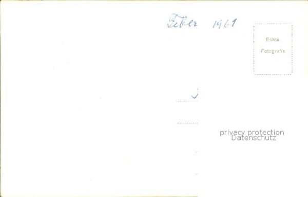 Pflanzen – Bild 2