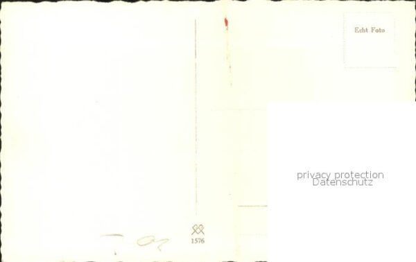 Schaeferhunde Deutscher Schäferhund – Bild 2