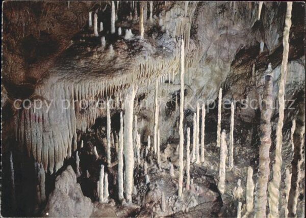 Hoehlen Caves Grottes Attendorn Tropfsteinhöhle Kerzenhalle